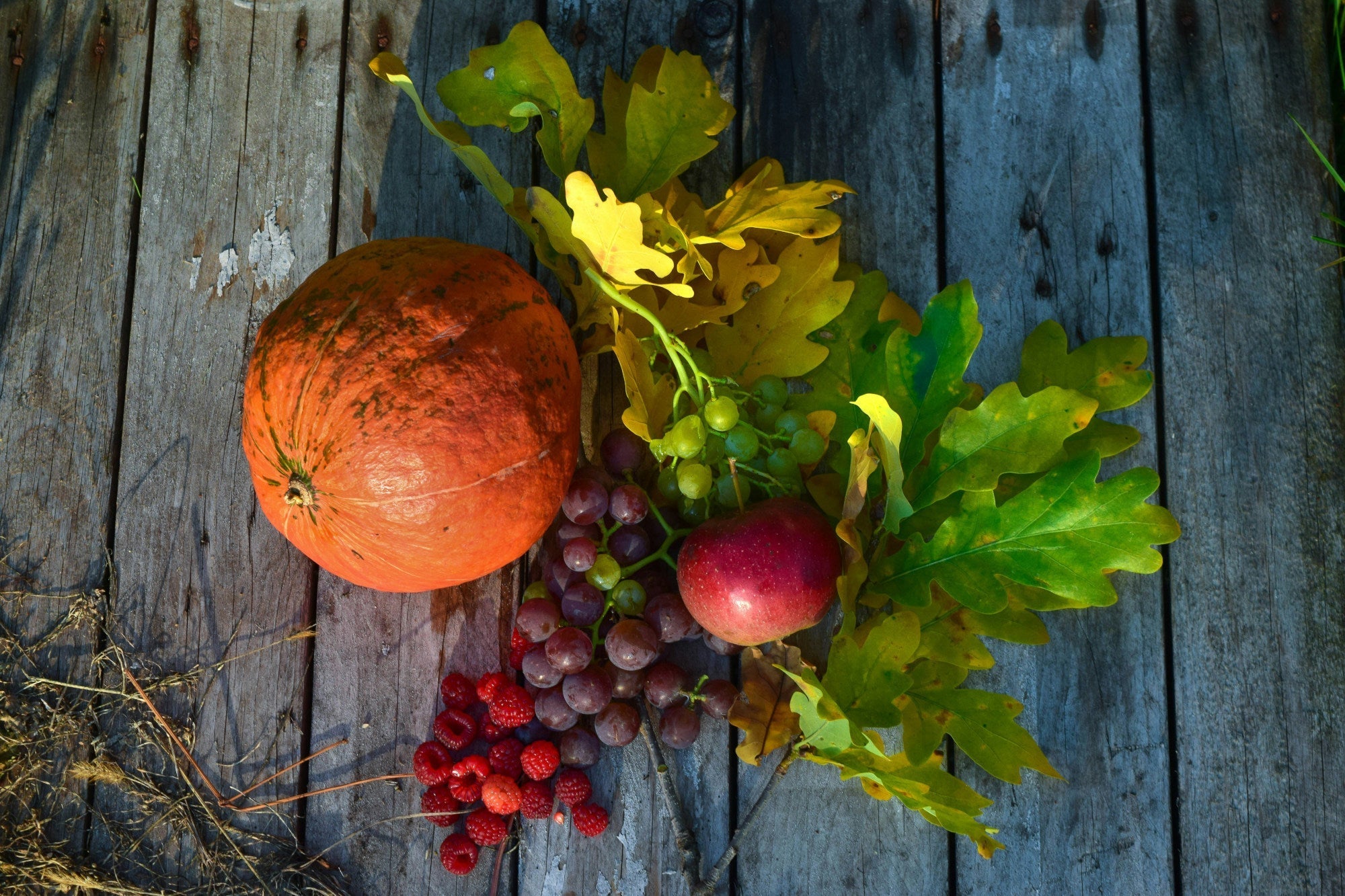 NRF2 activator: Activate your body's own protection against oxidative stress and inflammation!