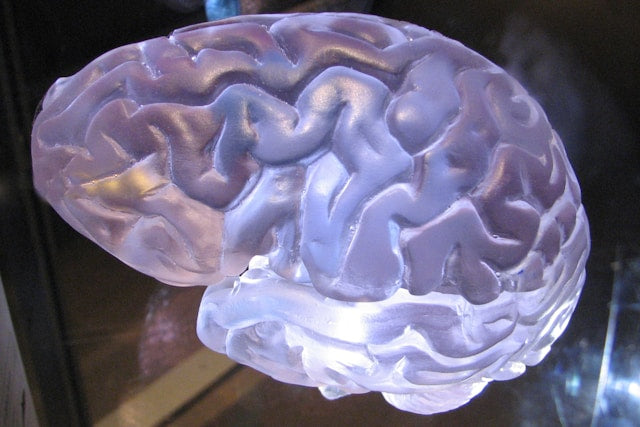 Brain fog after 40: Nutrient routines for mental clarity and cognitive reserve