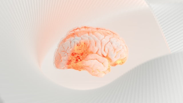 Die Darm-Hirn-Achse: Wie Probiotika deine mentale Gesundheit beeinflussen