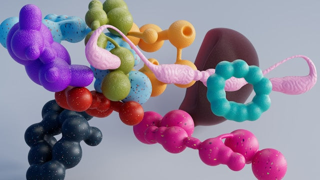 Protease, Trypsin und Chymotrypsin – Wie funktioniert Proteinverdauung?